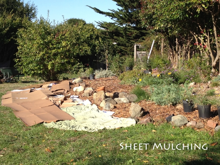 Sheet mulching - marin county garden design